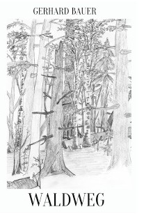 waldweg
