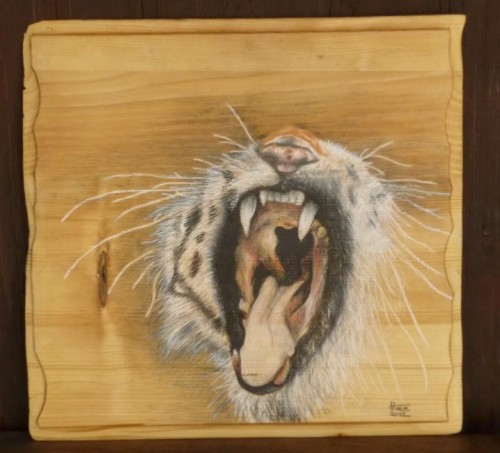 Marijan Hace Tiger 2