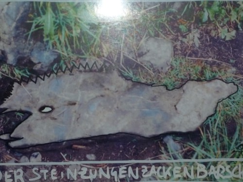 Herwig Singer steinfisch